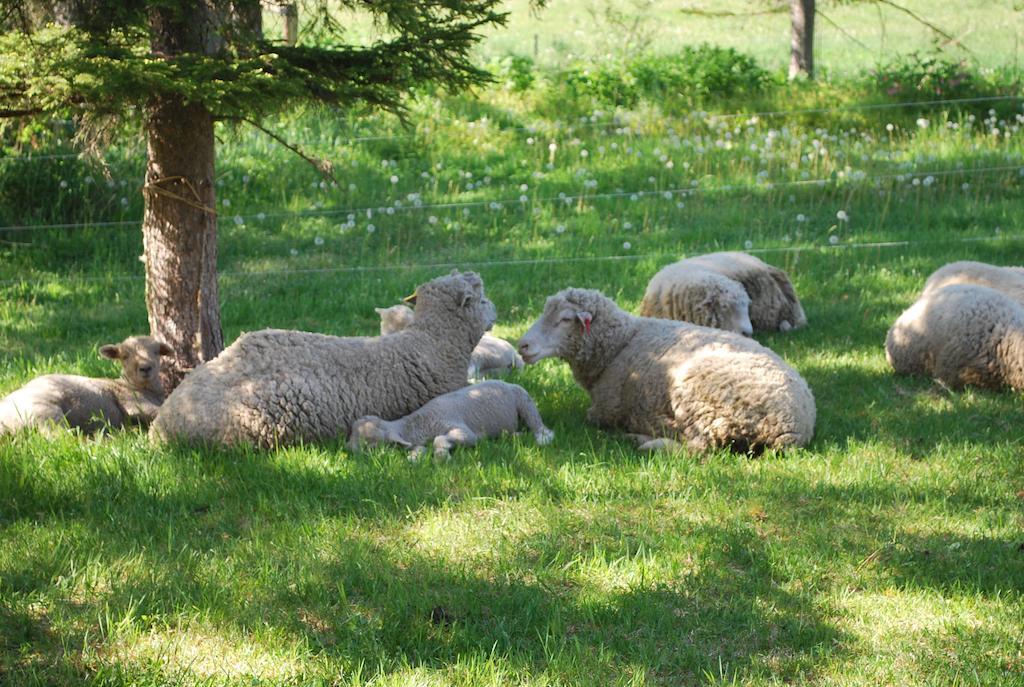 הוילה Shintoku Yorkshire Farm מראה חיצוני תמונה