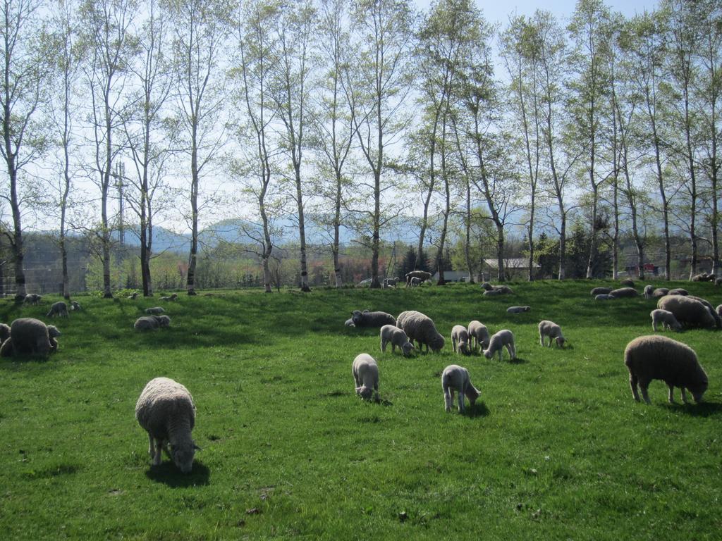 הוילה Shintoku Yorkshire Farm מראה חיצוני תמונה