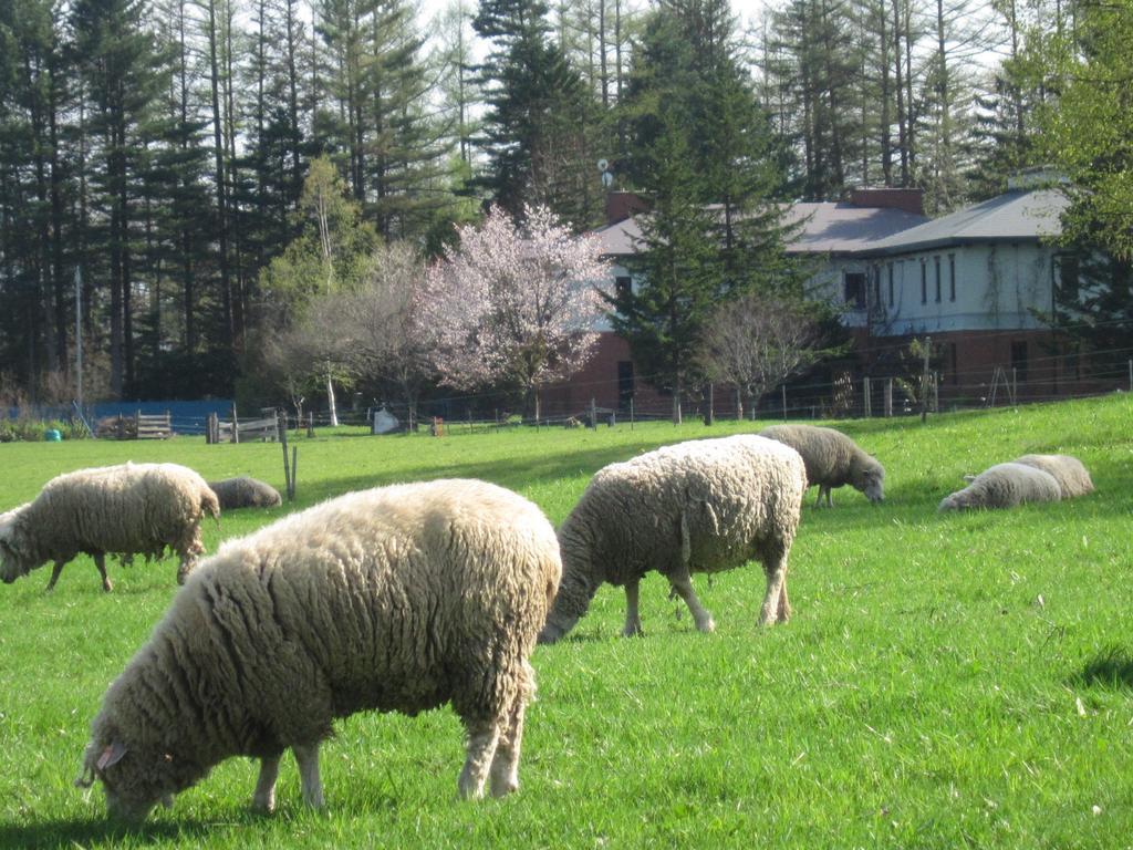 הוילה Shintoku Yorkshire Farm מראה חיצוני תמונה
