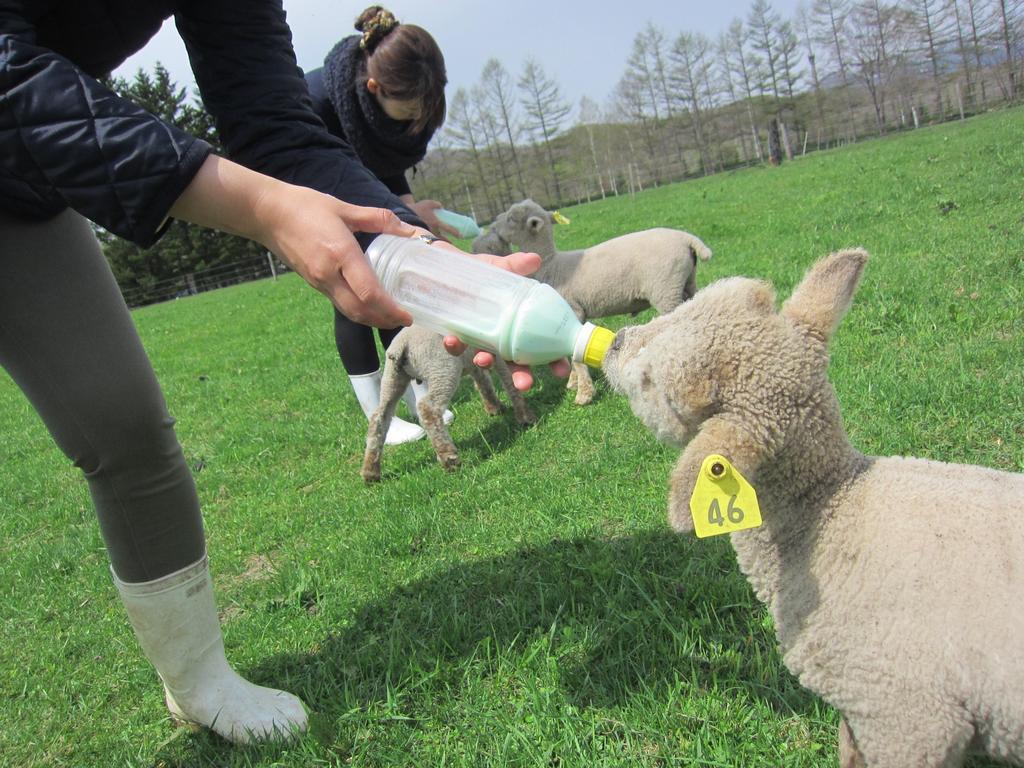 הוילה Shintoku Yorkshire Farm מראה חיצוני תמונה