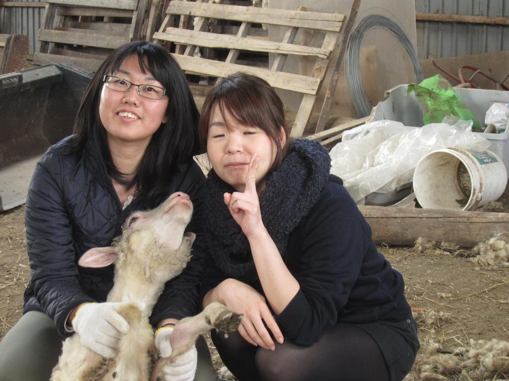 הוילה Shintoku Yorkshire Farm מראה חיצוני תמונה