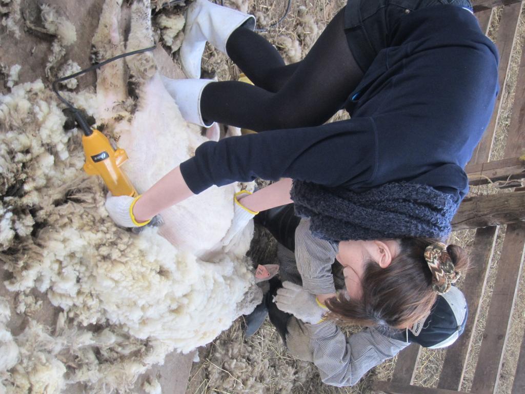 הוילה Shintoku Yorkshire Farm מראה חיצוני תמונה