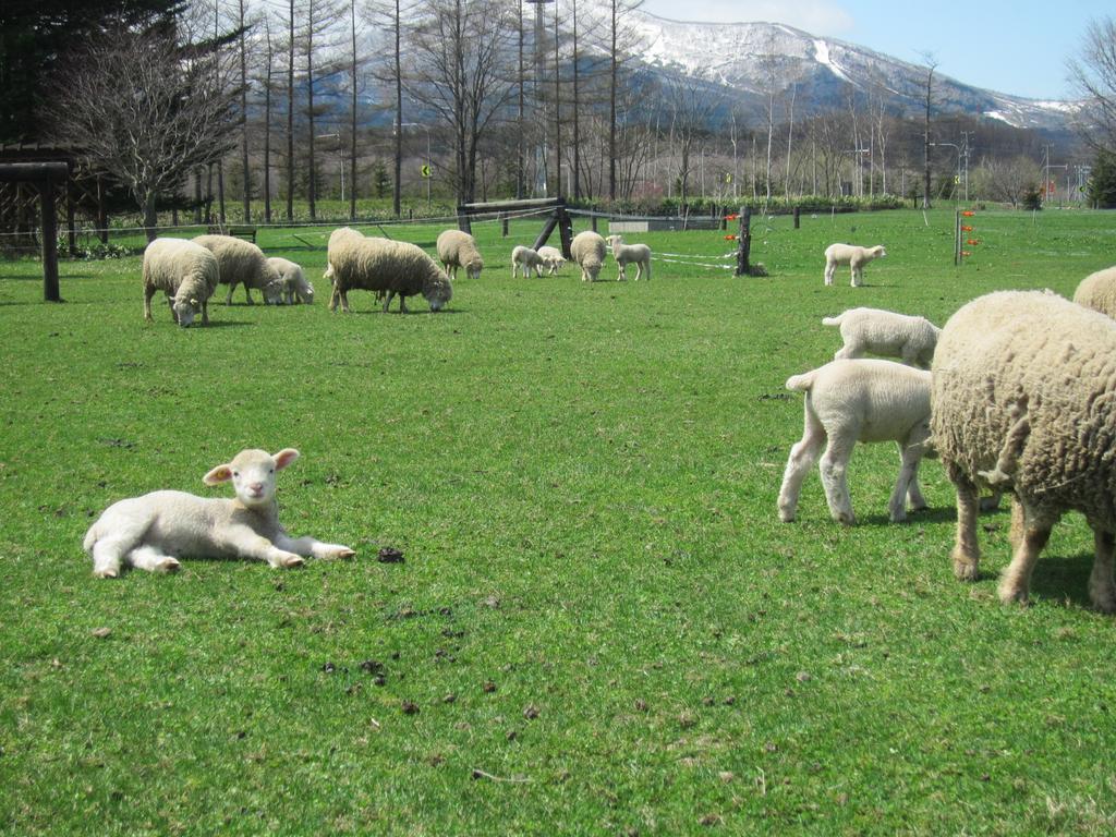 הוילה Shintoku Yorkshire Farm מראה חיצוני תמונה