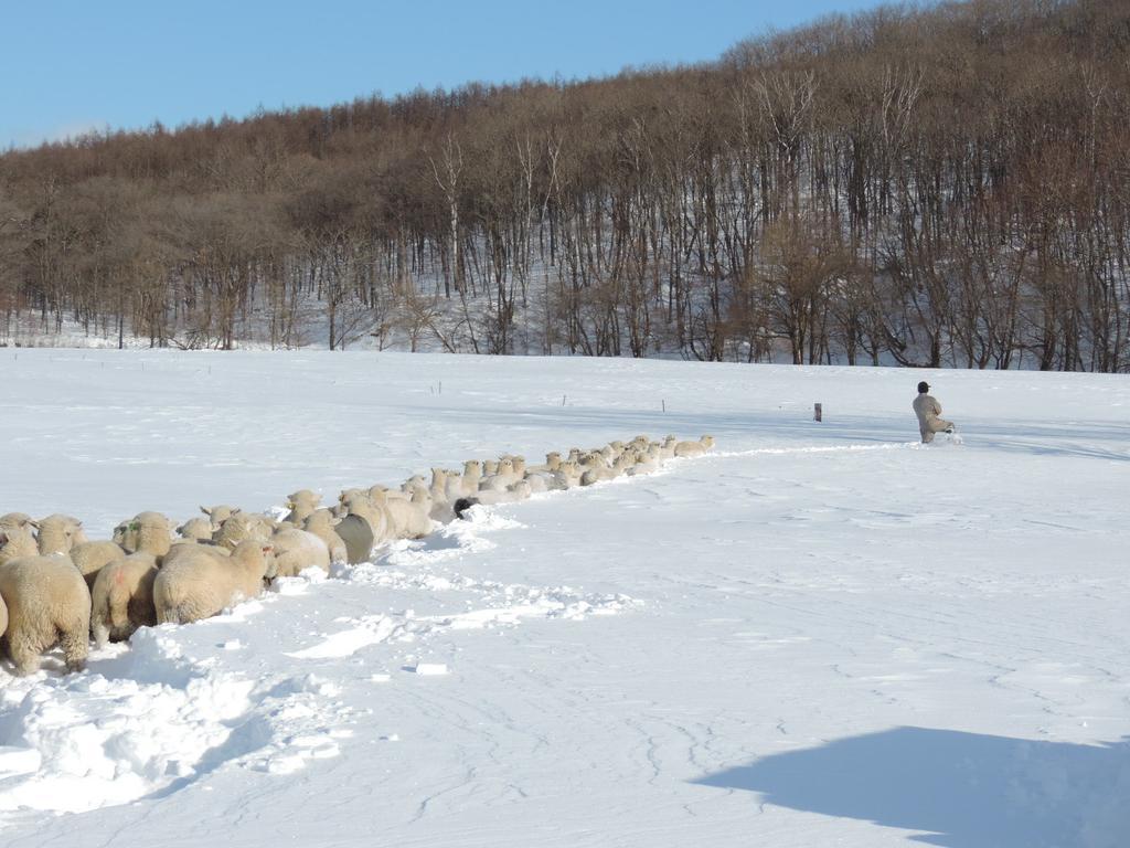 הוילה Shintoku Yorkshire Farm מראה חיצוני תמונה