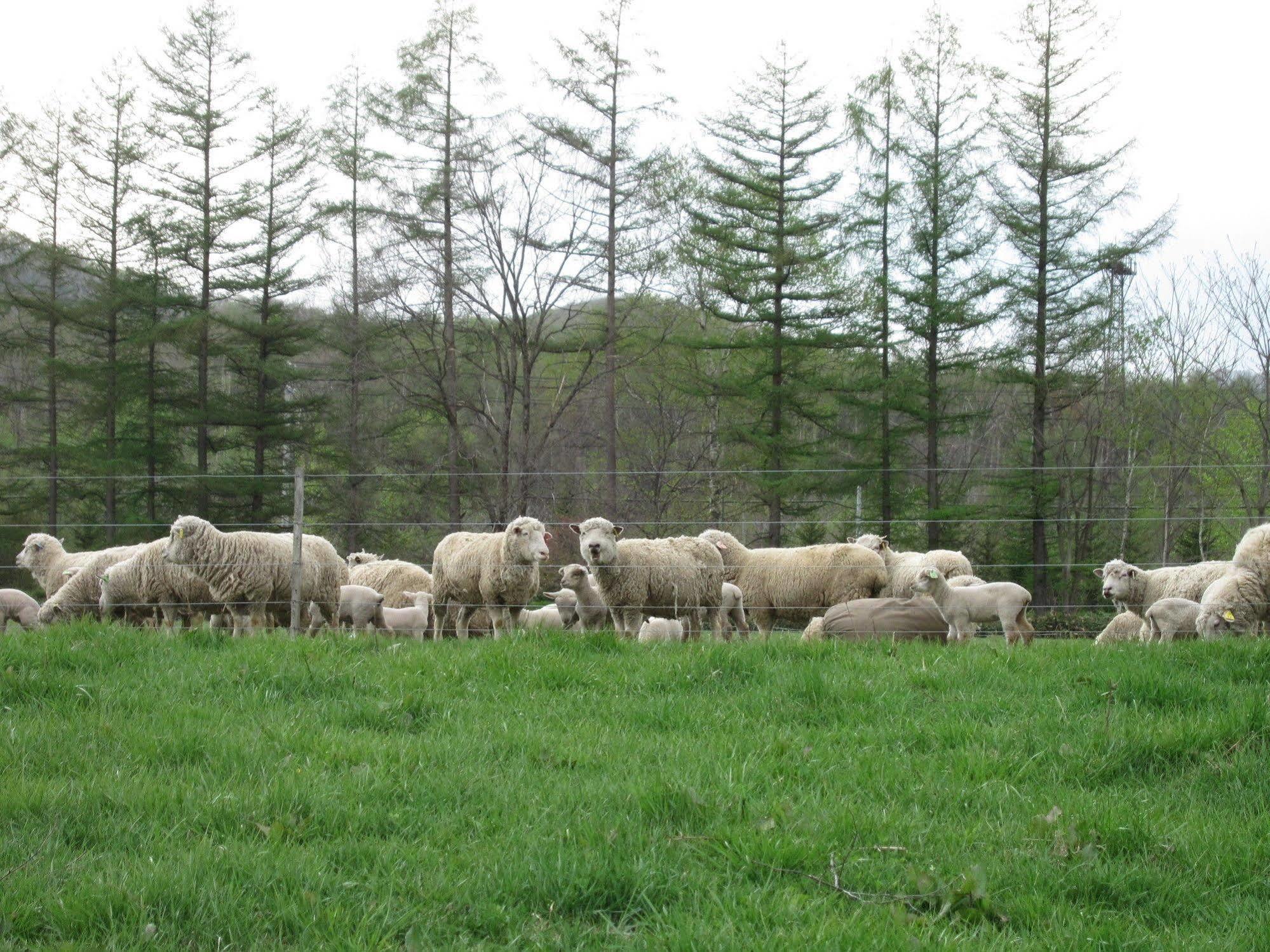הוילה Shintoku Yorkshire Farm מראה חיצוני תמונה